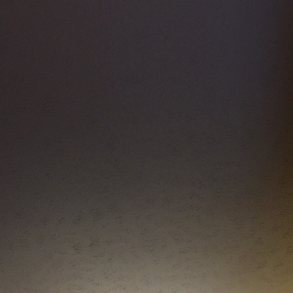 Meet your Posher, Tanya